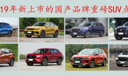 2019年国产精品,匠心独运，绽放时代光彩