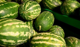 大连爆料吃瓜事件真相,揭秘背后真相与争议