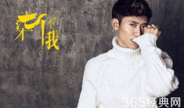 张一山电视剧大全,演绎人生百态，诠释角色魅力